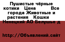 Пушистые чёрные котики › Цена ­ 100 - Все города Животные и растения » Кошки   . Ненецкий АО,Белушье д.